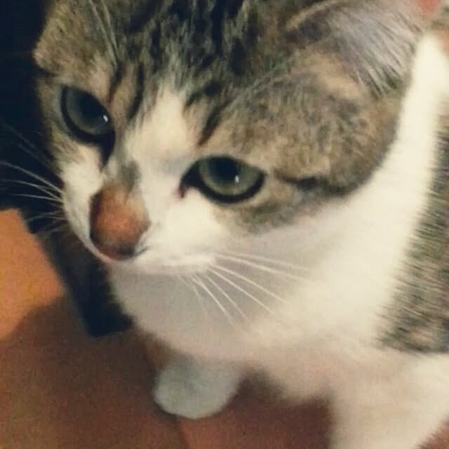 shizurockさんの実例写真