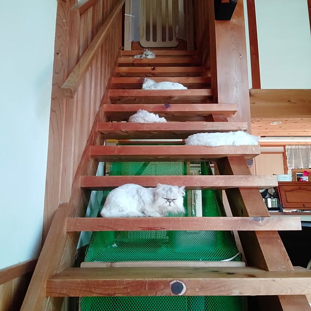 makaronさんの実例写真