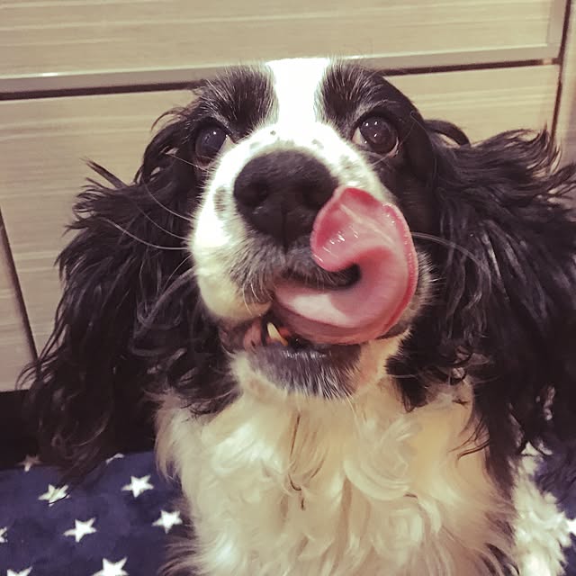 lunamamajunkoさんの実例写真