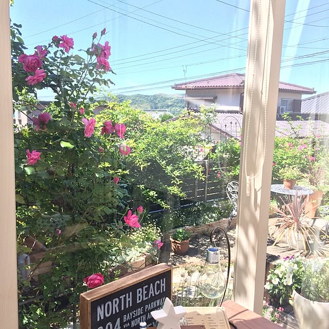 amiさんの実例写真