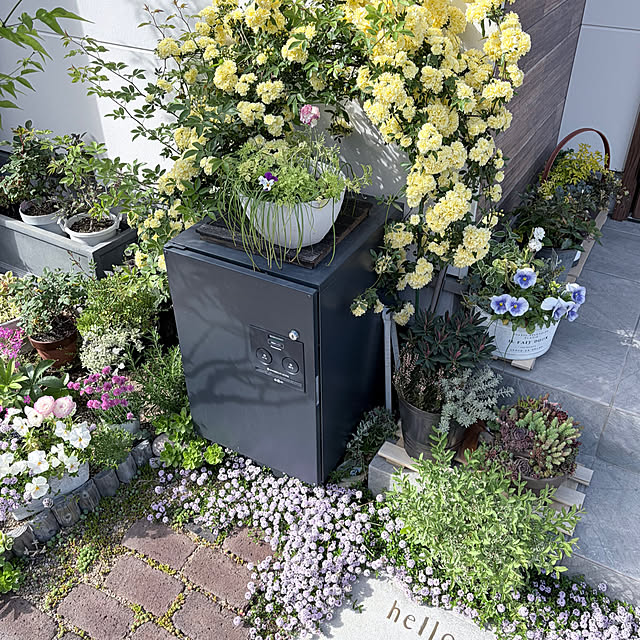 chipsさんの実例写真