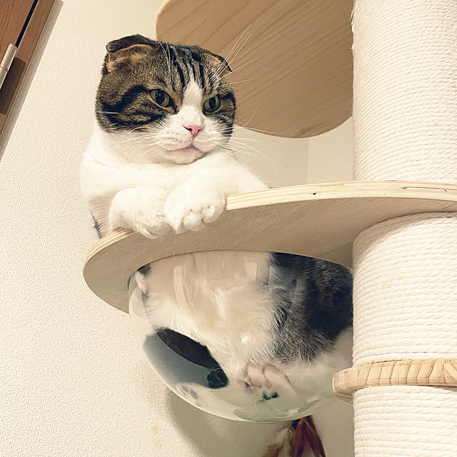 tansukeさんの部屋