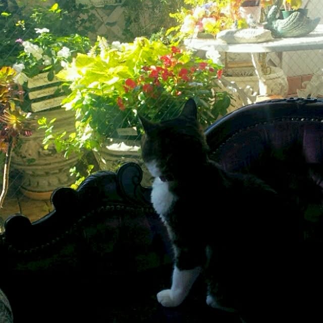 emmyyさんの実例写真