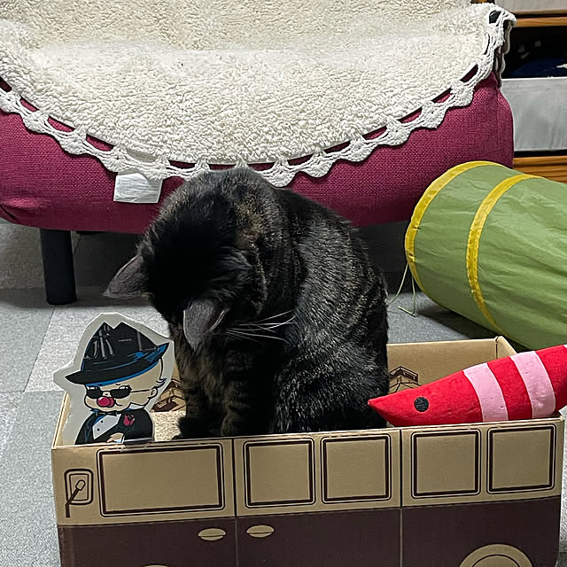 momocchiさんの部屋