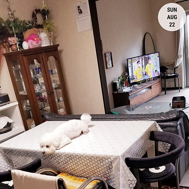 takoさんの実例写真