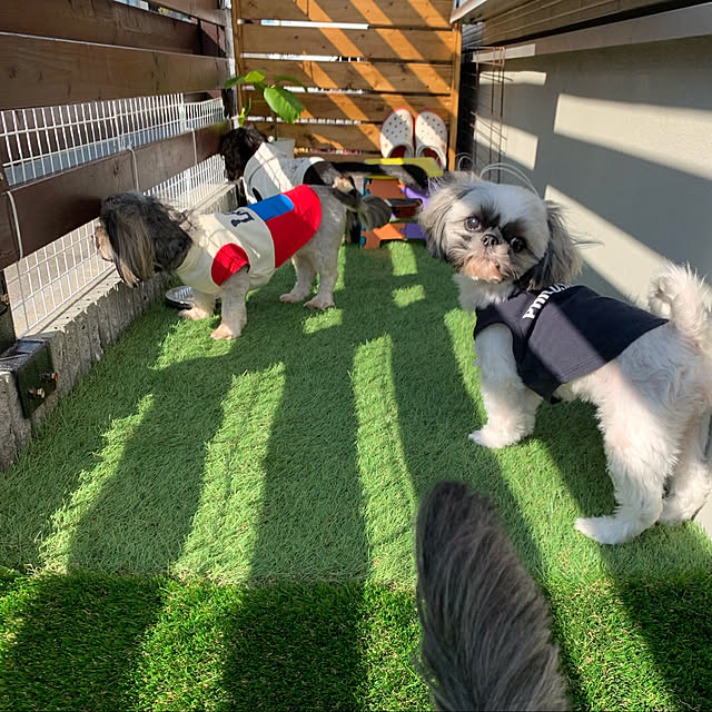 Nobukoさんの実例写真