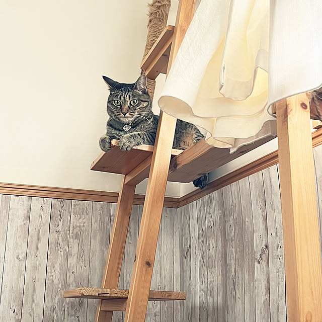 Mさんの部屋