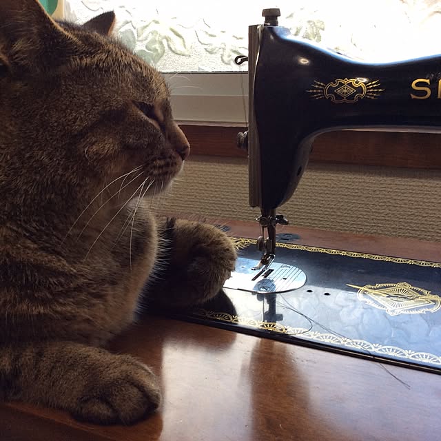 asariさんの実例写真