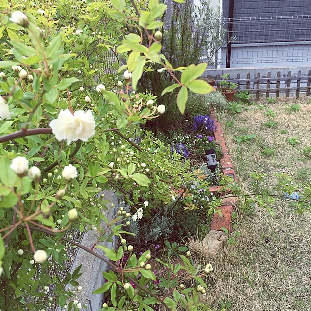 katayanさんの実例写真