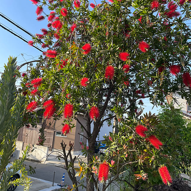 Andaluciaさんの実例写真
