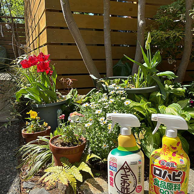 mirutanさんの実例写真