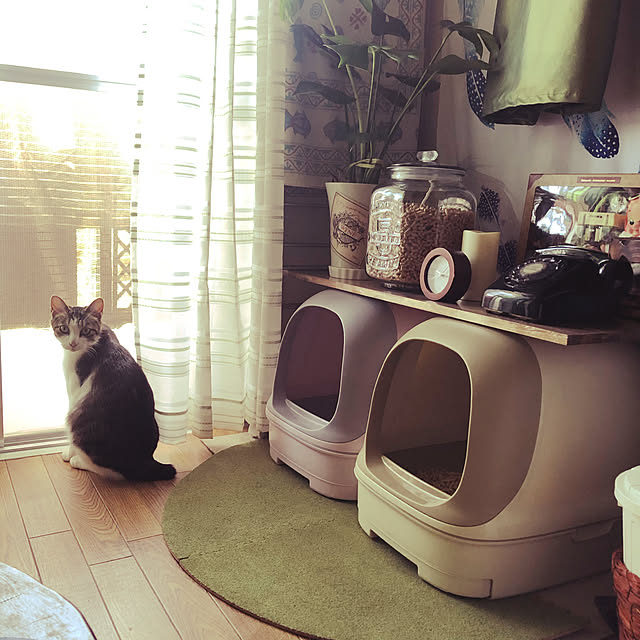mikenekoさんの実例写真