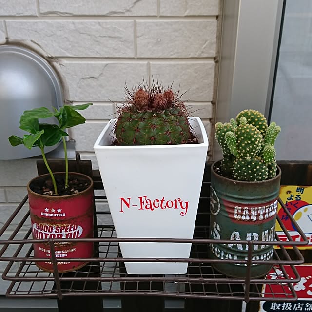 N-Factoryさんの実例写真