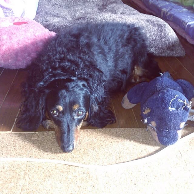 bonnさんの実例写真