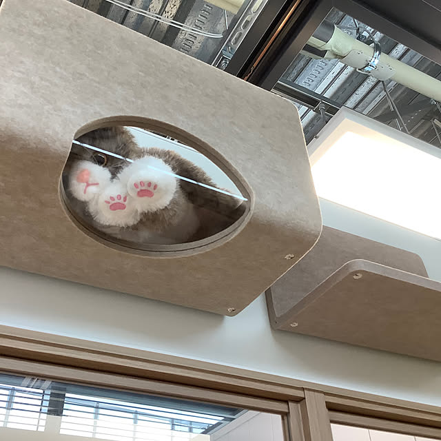 naive.coccoさんの部屋