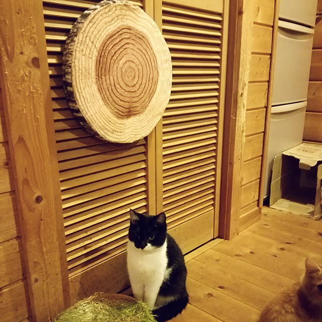 Maki-nekomamireさんの実例写真