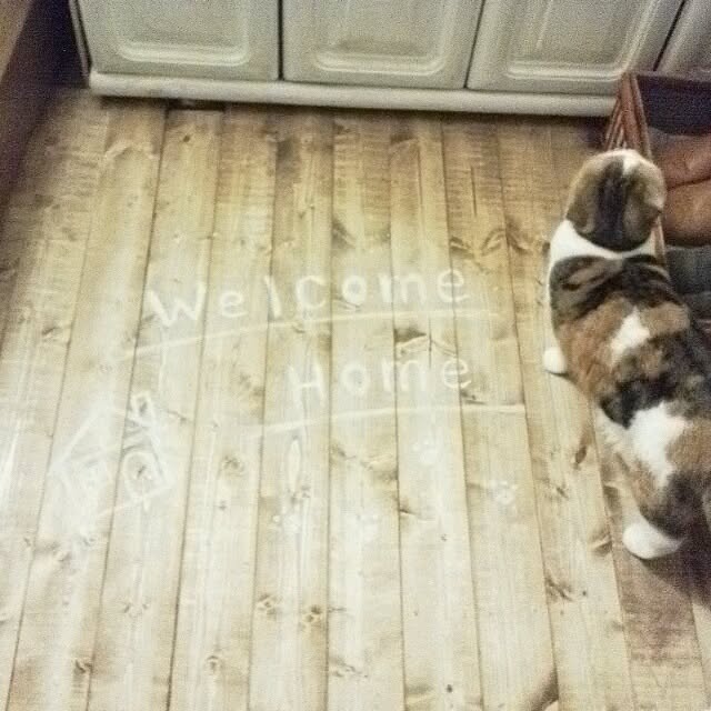 mikiさんの実例写真