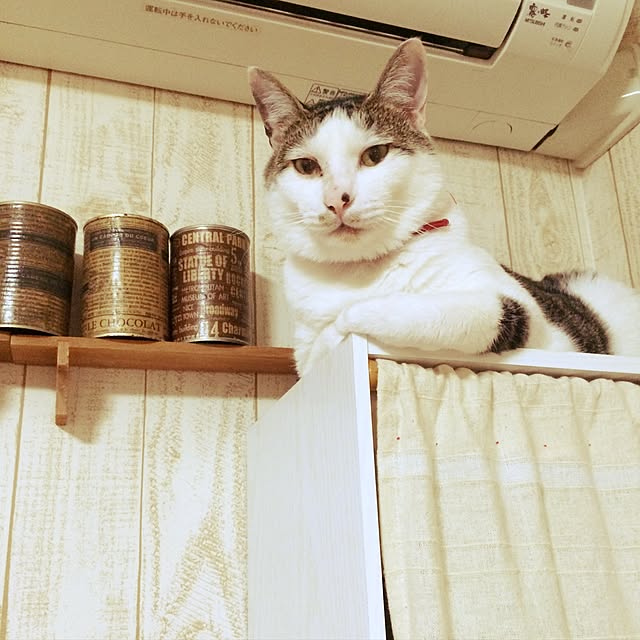 andryuさんの実例写真