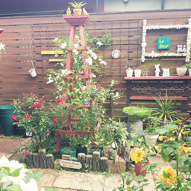 masayoさんの実例写真