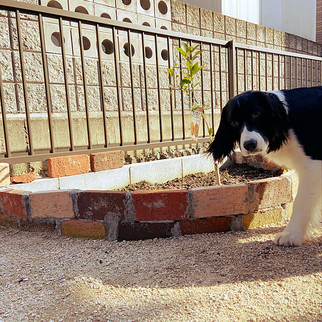 yuki_さんの実例写真