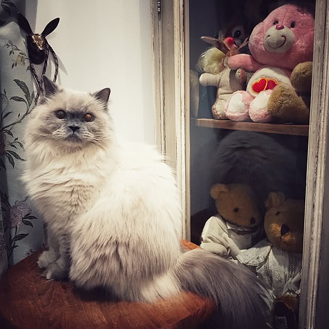 yuchiさんの実例写真