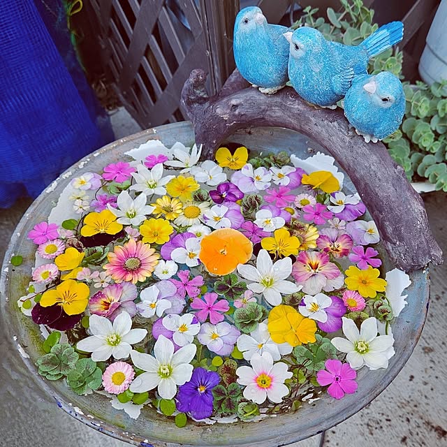 mocomocoさんの実例写真