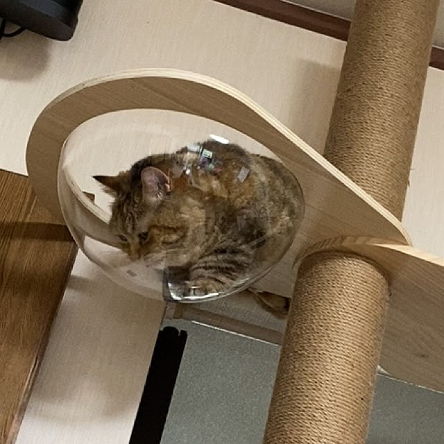 keibooさんの実例写真