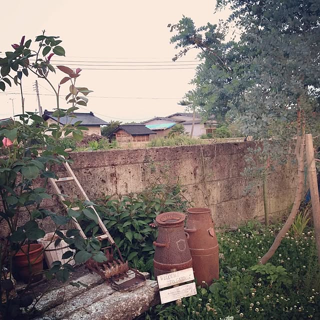TOROさんの実例写真