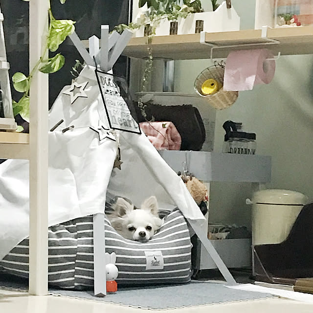 moeさんの実例写真