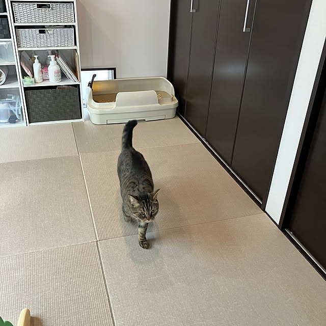 saeさんの部屋