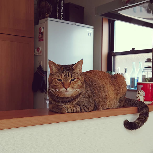 mochicoさんの実例写真
