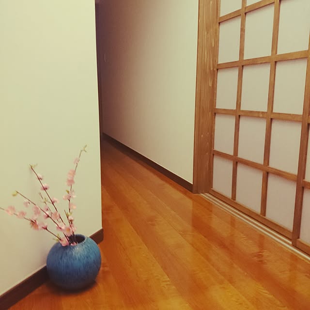 Kiuさんの実例写真