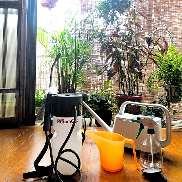 nikkoriさんの実例写真