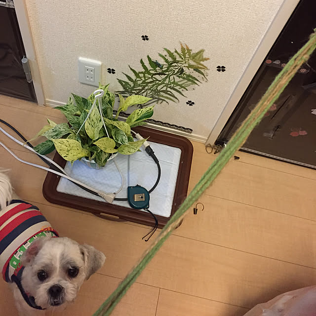 emiさんの実例写真