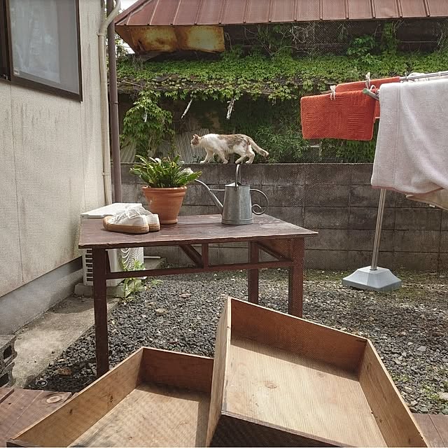 fukuさんの実例写真