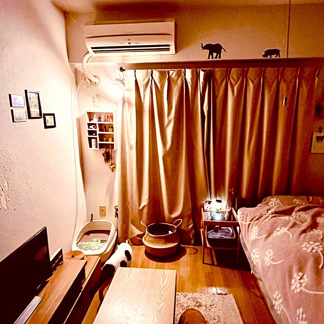 ayacoさんの実例写真
