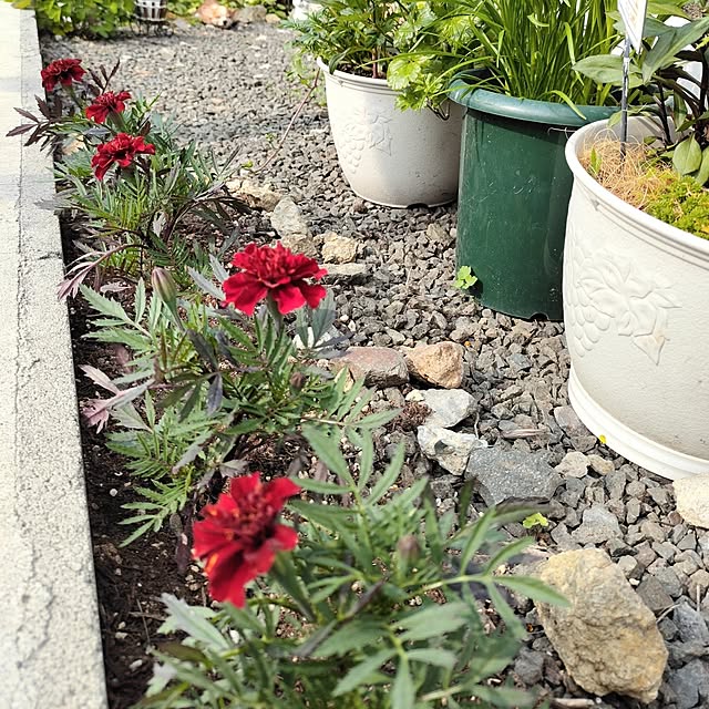 kiraさんの部屋