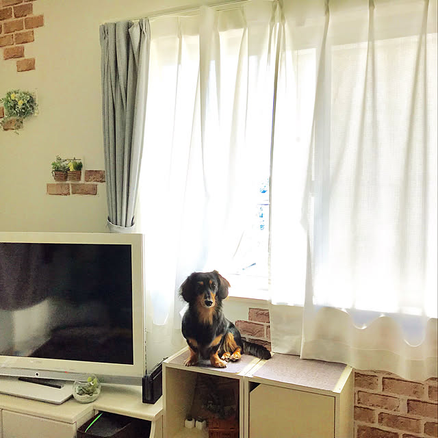 makisanさんの実例写真