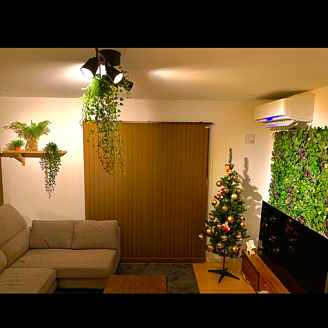 IKEA/フェイクグリーン/観葉植物/100均/雑貨...などのインテリア実例 - 2019-12-22 21:17:11