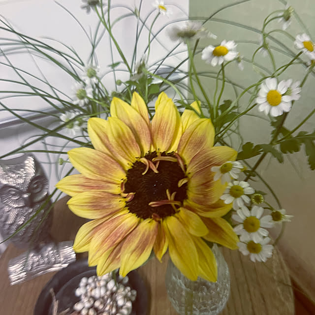 mamanさんの部屋