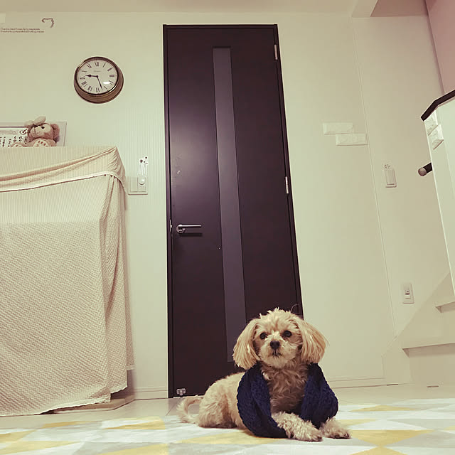 miyumiyuさんの実例写真