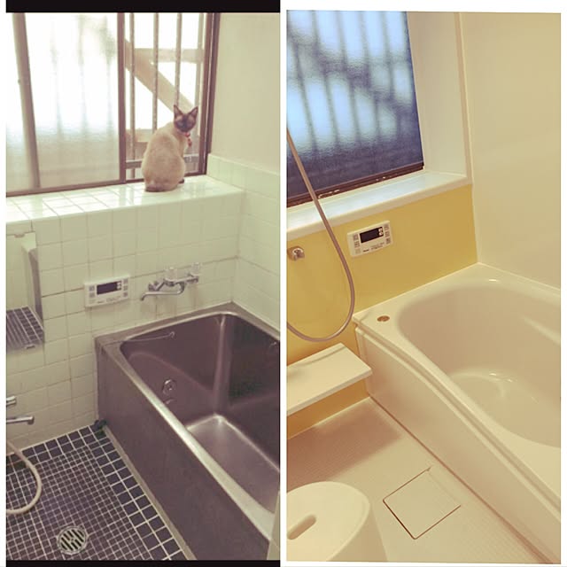 実例写真