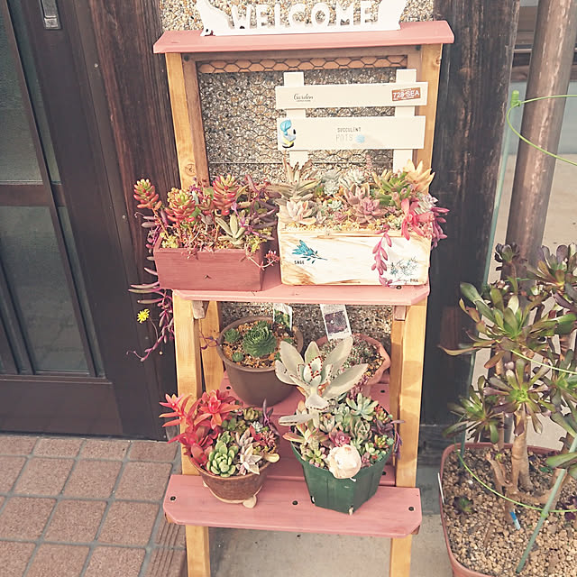 実例写真