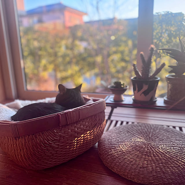 onsix777さんの実例写真