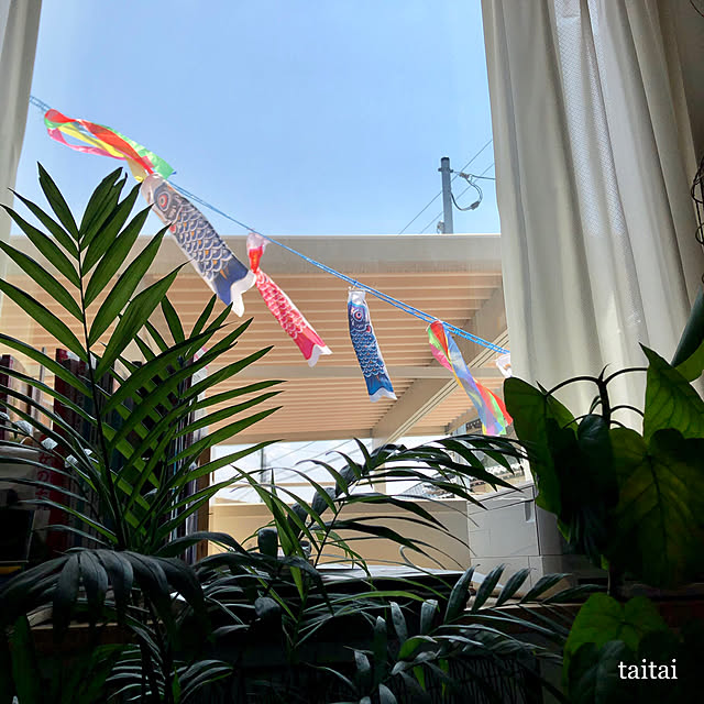 taitaiさんの実例写真