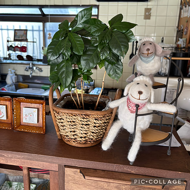 Smilkazuさんの部屋