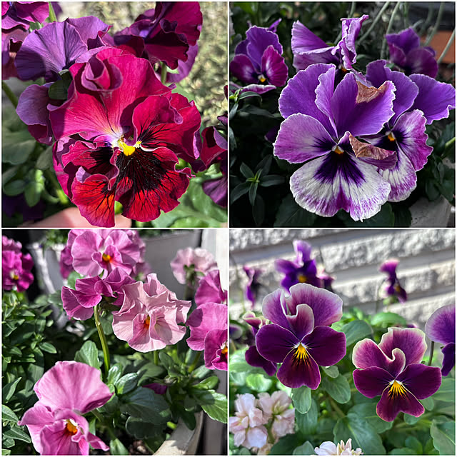 maimai0110さんの部屋