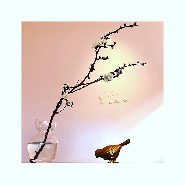 kozakura10さんの実例写真