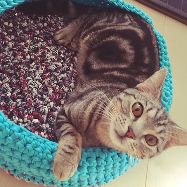 Tabasaさんの実例写真
