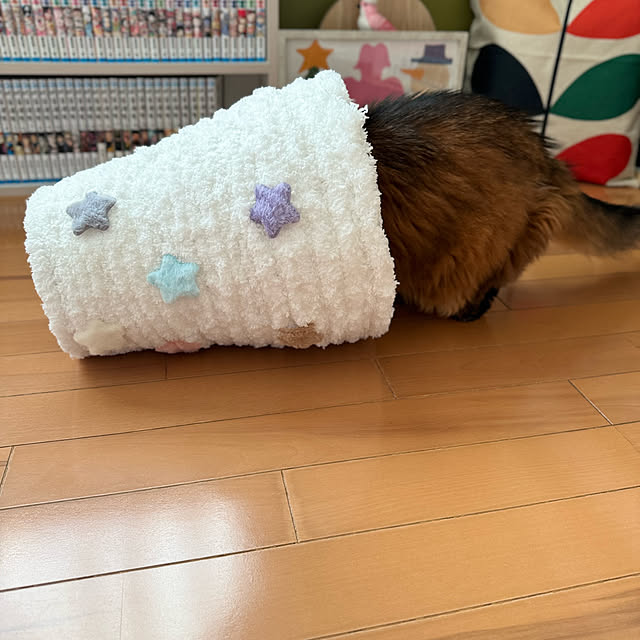 yuri.sさんの部屋